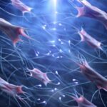 Collagen là một dạng protein trong cơ thể