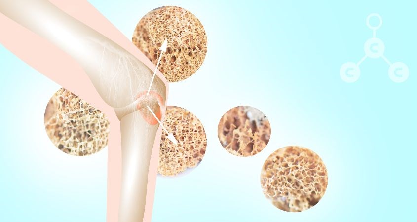 Collagen ức chế sự phân hủy xương và ngăn ngừa loãng xương