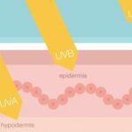 Tia UV được chia thành 3 nhóm