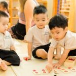 Giáo dục sớm là gì?