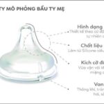 Van thoát khí AVS chống sặc sữa