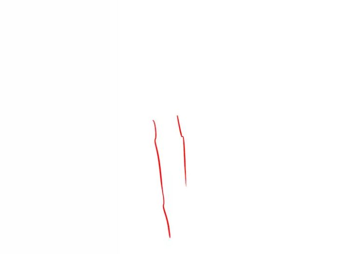 cách vẽ cây tre bước 1