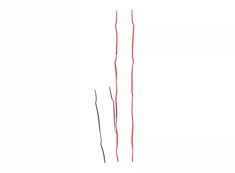 cách vẽ cây tre bước 2