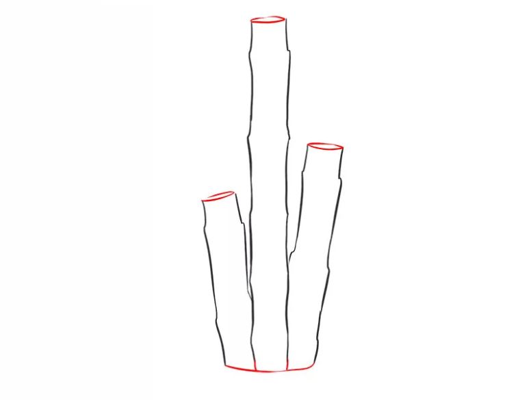 cách vẽ cây tre bước 4