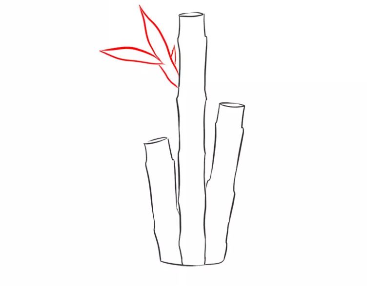cách vẽ cây tre bước 5
