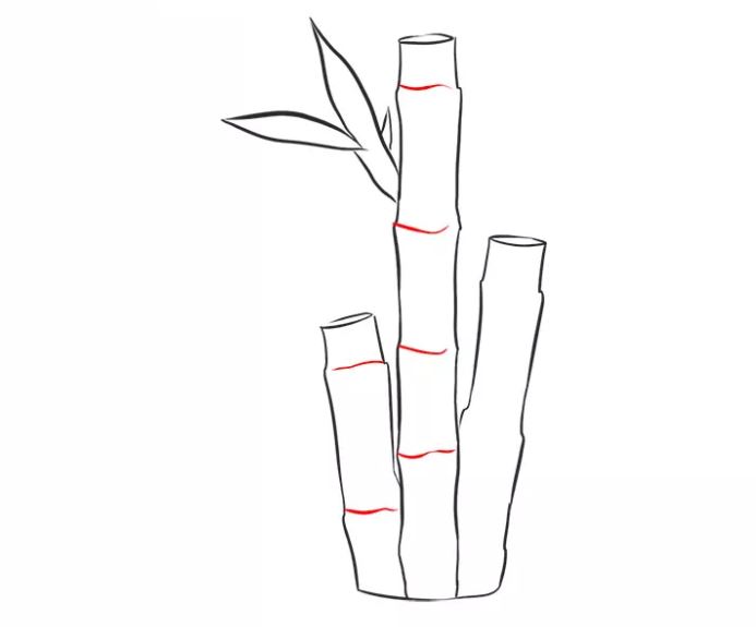 cách vẽ cây tre bước 6